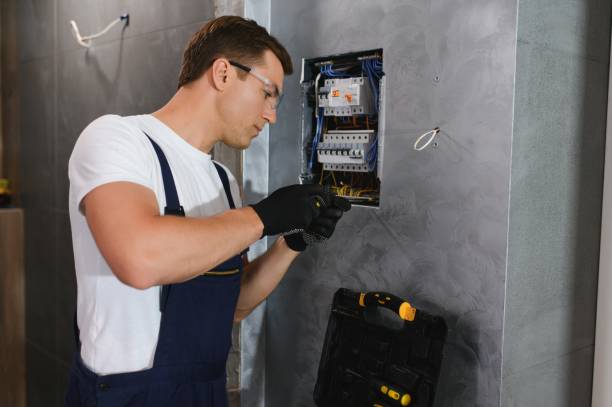 Best Electric Panel Repair  in Elgin, TX